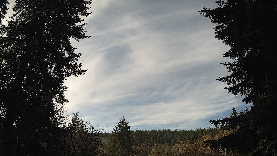 Pacific Northwest skyline timelapse frame from Dec 29th, 2025 at 11:00 AM