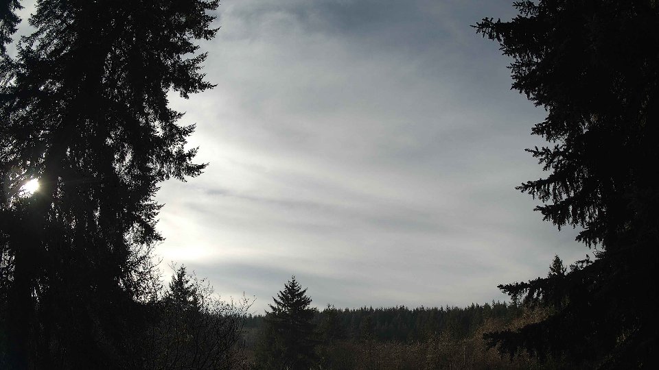 Pacific Northwest skyline timelapse frame from Dec 29th, 2025 at 12:30 PM