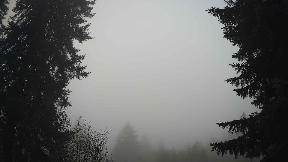 Pacific Northwest skyline timelapse frame from Dec 30th, 2025 at 8:15 AM