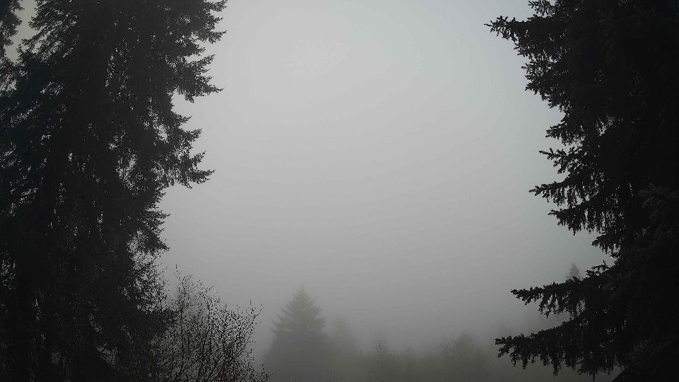 Pacific Northwest skyline timelapse frame from Dec 30th, 2025 at 8:30 AM