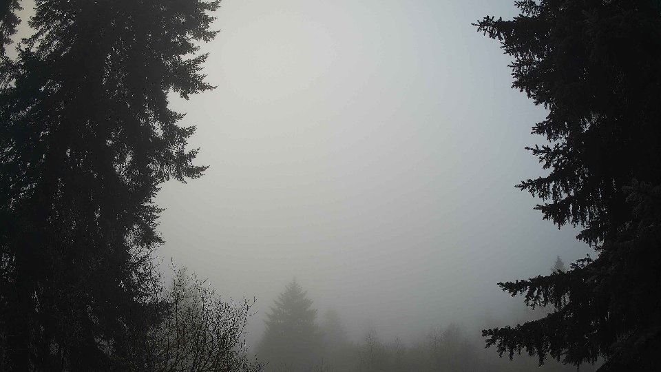 Pacific Northwest skyline timelapse frame from Dec 30th, 2025 at 9:00 AM