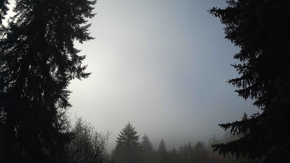 Pacific Northwest skyline timelapse frame from Dec 30th, 2025 at 11:00 AM