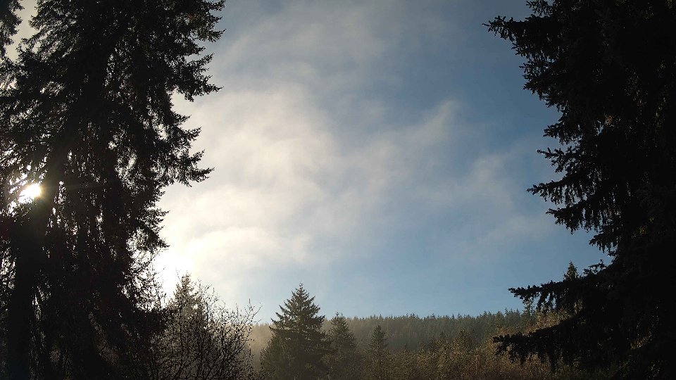 Pacific Northwest skyline timelapse frame from Dec 30th, 2025 at 12:30 PM
