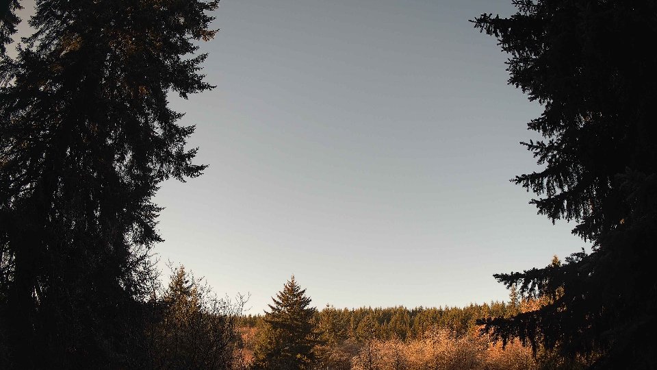 Pacific Northwest skyline timelapse frame from Dec 31st, 2025 at 9:30 AM