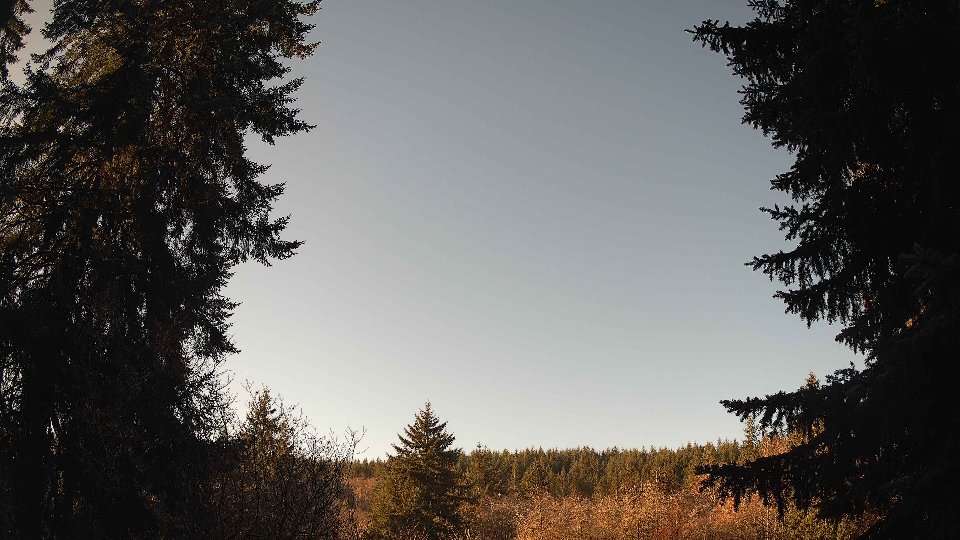 Pacific Northwest skyline timelapse frame from Dec 31st, 2025 at 10:15 AM