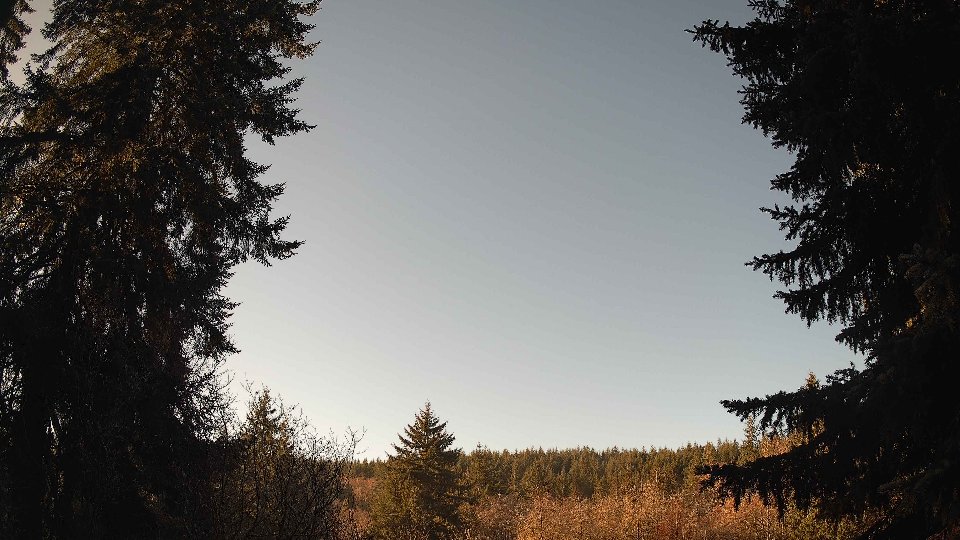Pacific Northwest skyline timelapse frame from Dec 31st, 2025 at 10:30 AM