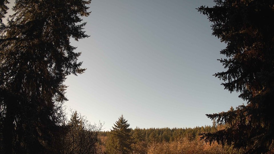 Pacific Northwest skyline timelapse frame from Dec 31st, 2025 at 11:00 AM