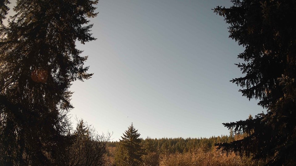 Pacific Northwest skyline timelapse frame from Dec 31st, 2025 at 11:30 AM
