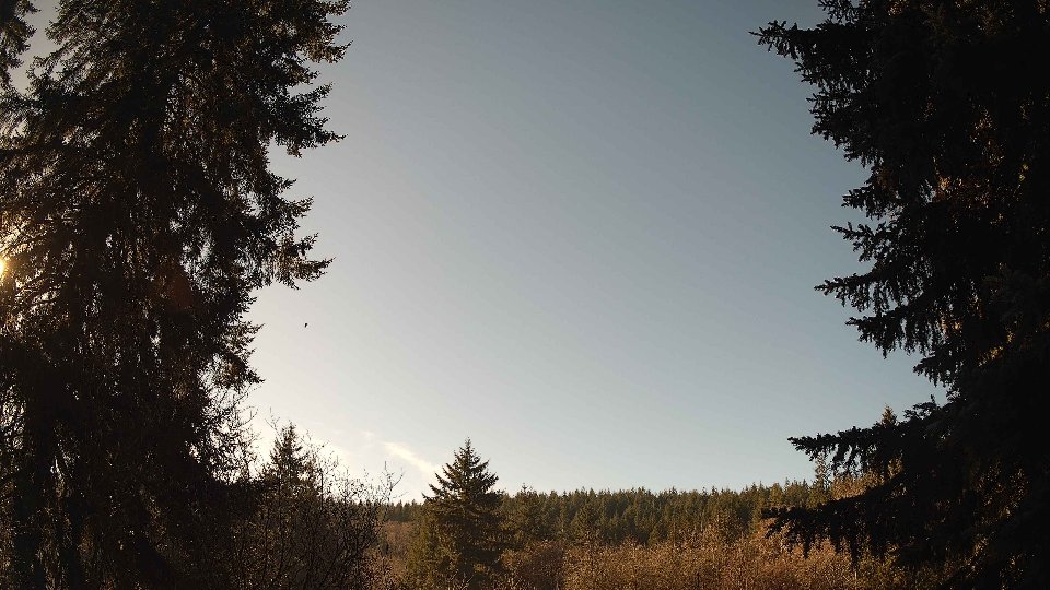 Pacific Northwest skyline timelapse frame from Dec 31st, 2025 at 12:00 PM