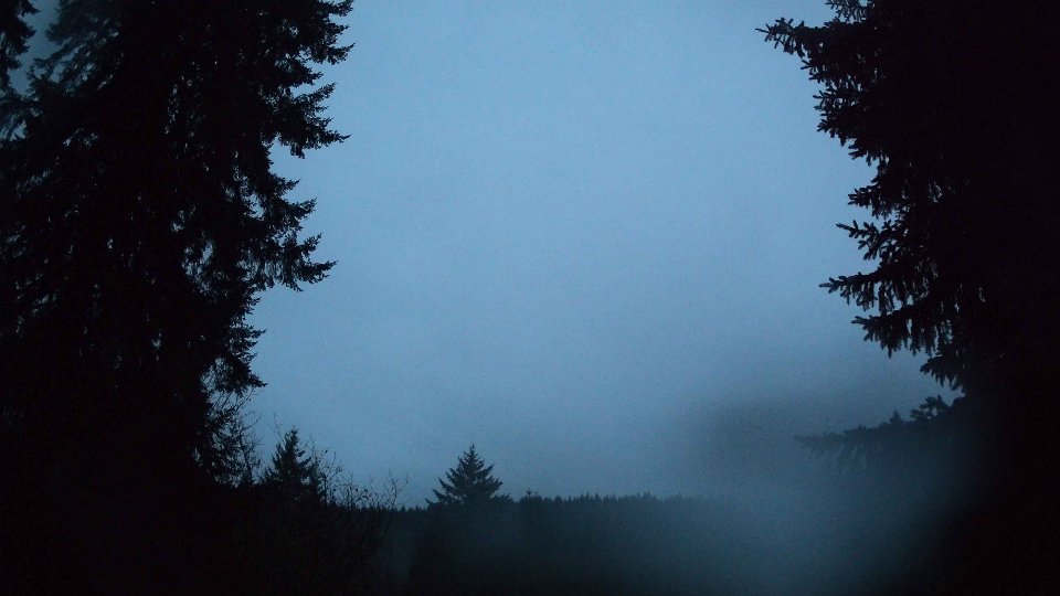 Pacific Northwest skyline timelapse on Jan 01, 2026 at 7:30 AM