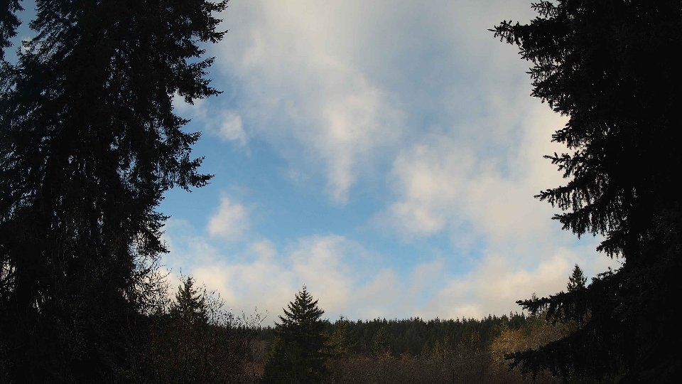 Pacific Northwest skyline timelapse frame from Jan 3rd, 2026 at 9:00 AM