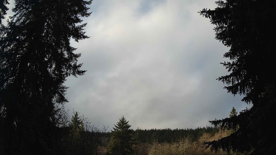 Pacific Northwest skyline timelapse frame from Jan 3rd, 2026 at 9:45 AM
