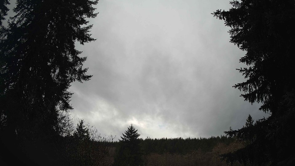 Pacific Northwest skyline timelapse on Jan 4th, 2026 at 11:15 AM