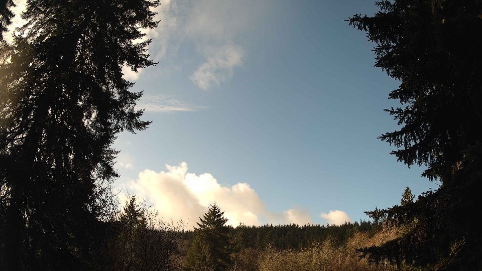 Pacific Northwest skyline timelapse on Jan 5th, 2026 at 11:00 AM
