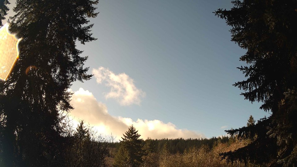 Pacific Northwest skyline timelapse on Jan 5th, 2026 at 11:15 AM