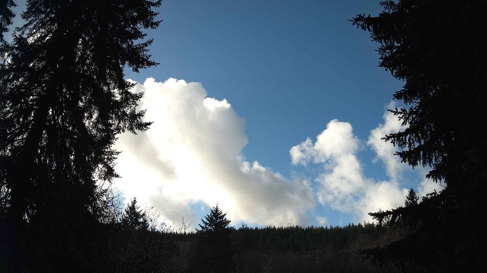 Pacific Northwest skyline timelapse on Jan 5th, 2026 at 11:45 AM