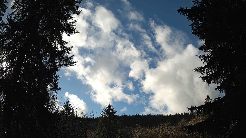 Pacific Northwest skyline timelapse on Jan 5th, 2026 at 12:15 PM