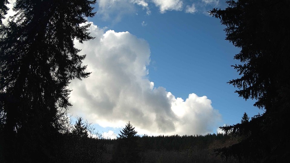 Pacific Northwest skyline timelapse on Jan 5th, 2026 at 12:30 PM