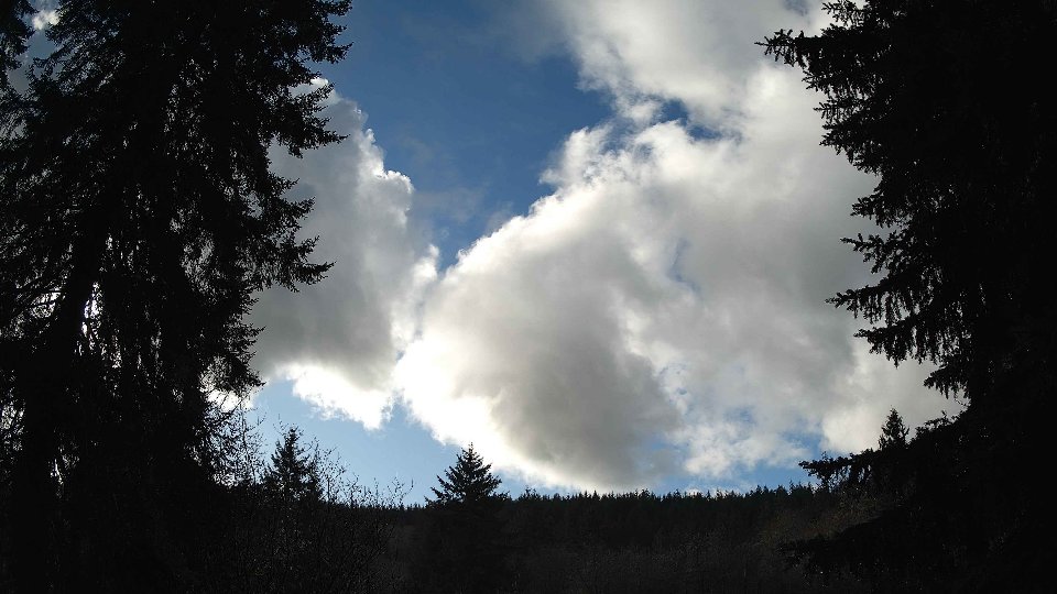 Pacific Northwest skyline timelapse on Jan 5th, 2026 at 12:45 PM