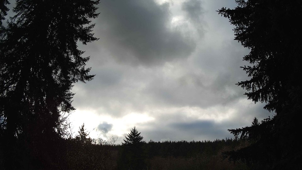 Pacific Northwest skyline timelapse on Jan 5th, 2026 at 2:45 PM