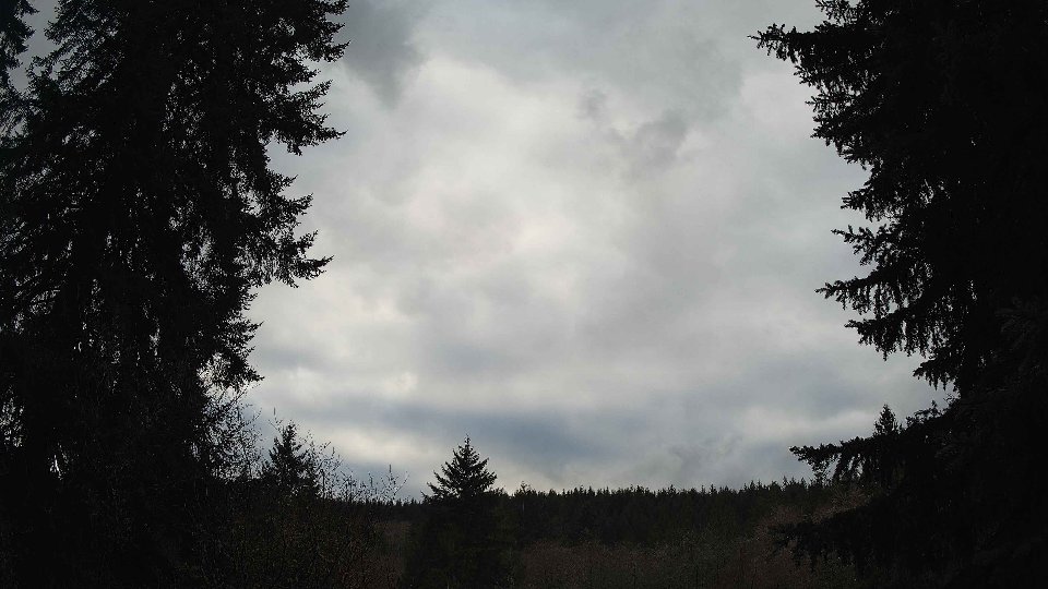 Pacific Northwest skyline timelapse on Jan 5th, 2026 at 3:00 PM