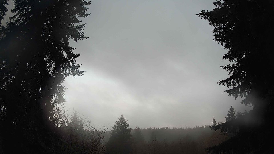 Pacific Northwest skyline timelapse frame from Jan 8th, 2026 at 8:00 AM