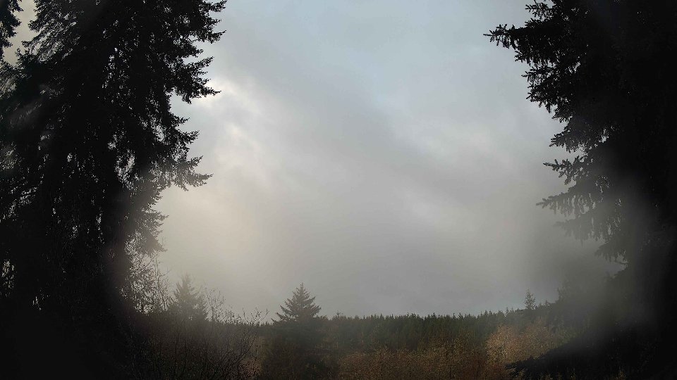 Pacific Northwest skyline timelapse frame from Jan 8th, 2026 at 9:00 AM