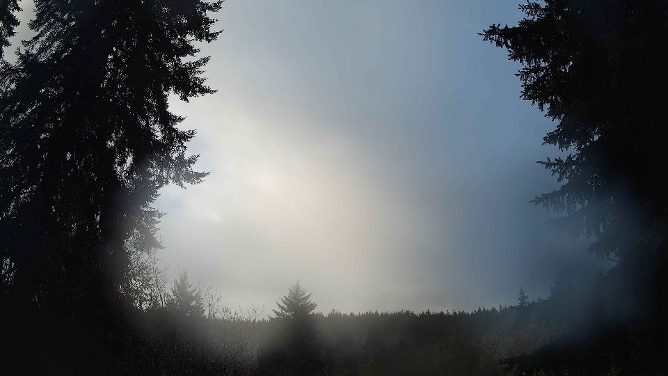 Pacific Northwest skyline timelapse frame from Jan 8th, 2026 at 9:15 AM
