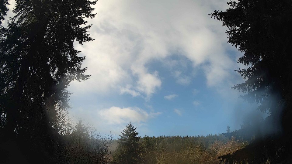 Pacific Northwest skyline timelapse frame from Jan 8th, 2026 at 10:00 AM