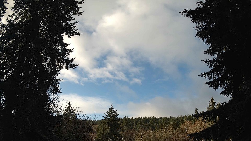 Pacific Northwest skyline timelapse frame from Jan 8th, 2026 at 10:15 AM