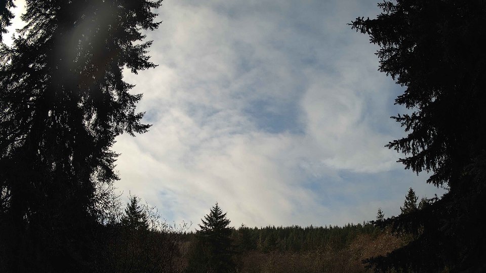 Pacific Northwest skyline timelapse frame from Jan 8th, 2026 at 10:30 AM
