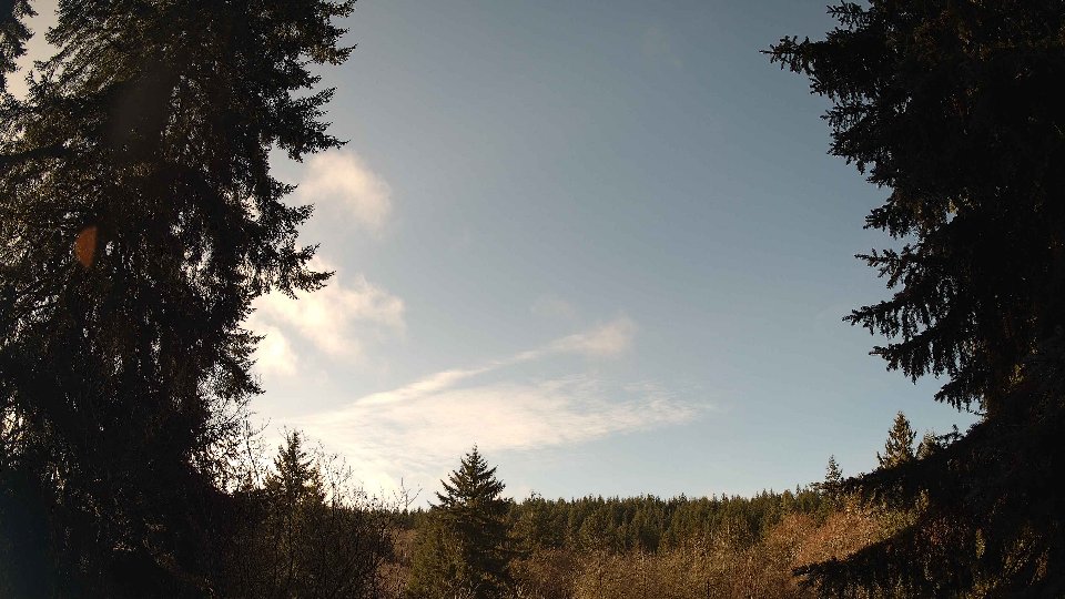 Pacific Northwest skyline timelapse frame from Jan 8th, 2026 at 11:00 AM
