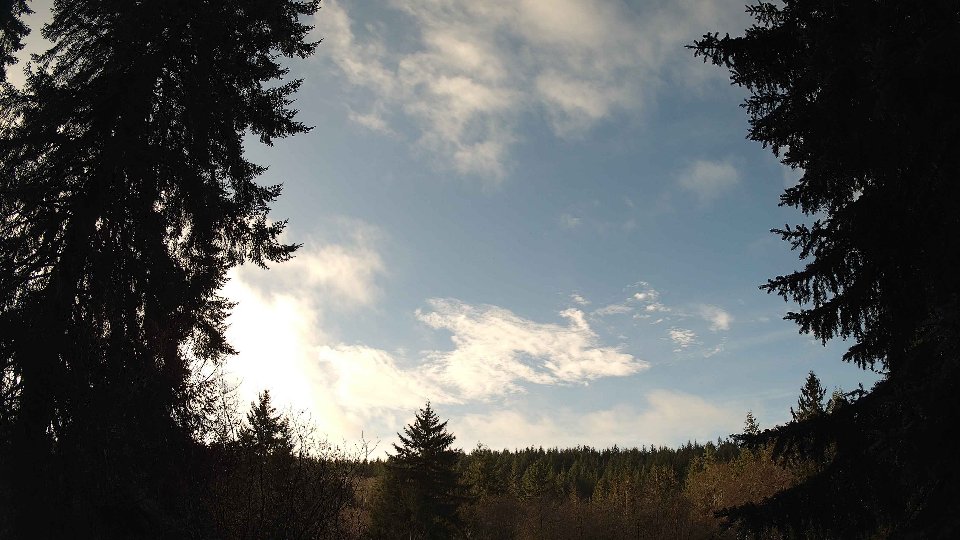 Pacific Northwest skyline timelapse frame from Jan 8th, 2026 at 11:15 AM