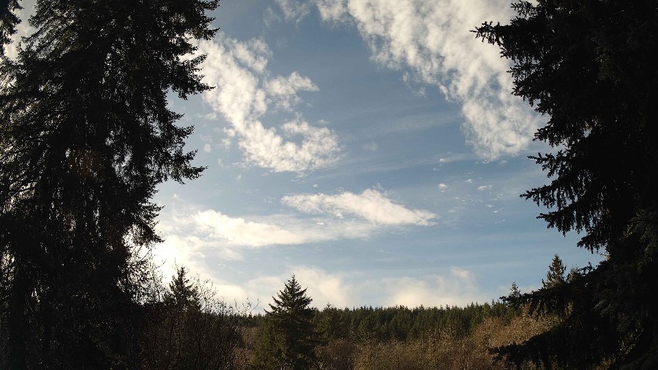 Pacific Northwest skyline timelapse frame from Jan 8th, 2026 at 11:30 AM