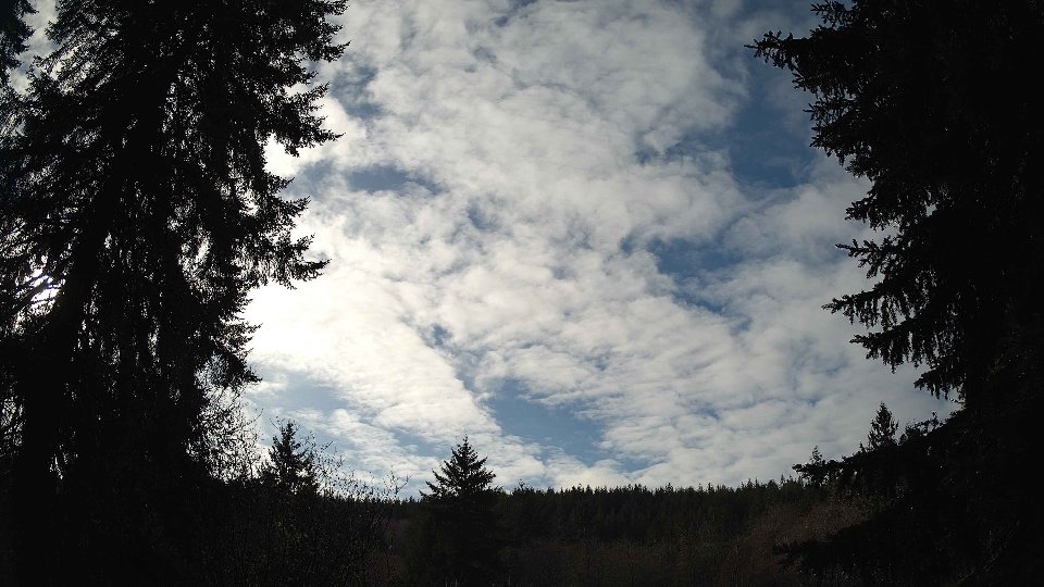 Pacific Northwest skyline timelapse frame from Jan 8th, 2026 at 12:30 PM