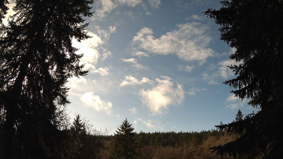 Pacific Northwest skyline timelapse frame from Jan 8th, 2026 at 12:45 PM