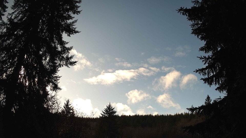 Pacific Northwest skyline timelapse frame from Jan 8th, 2026 at 1:00 PM