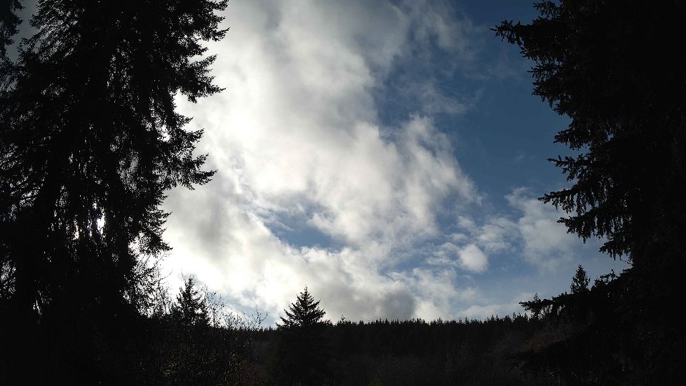 Pacific Northwest skyline timelapse frame from Jan 8th, 2026 at 1:15 PM