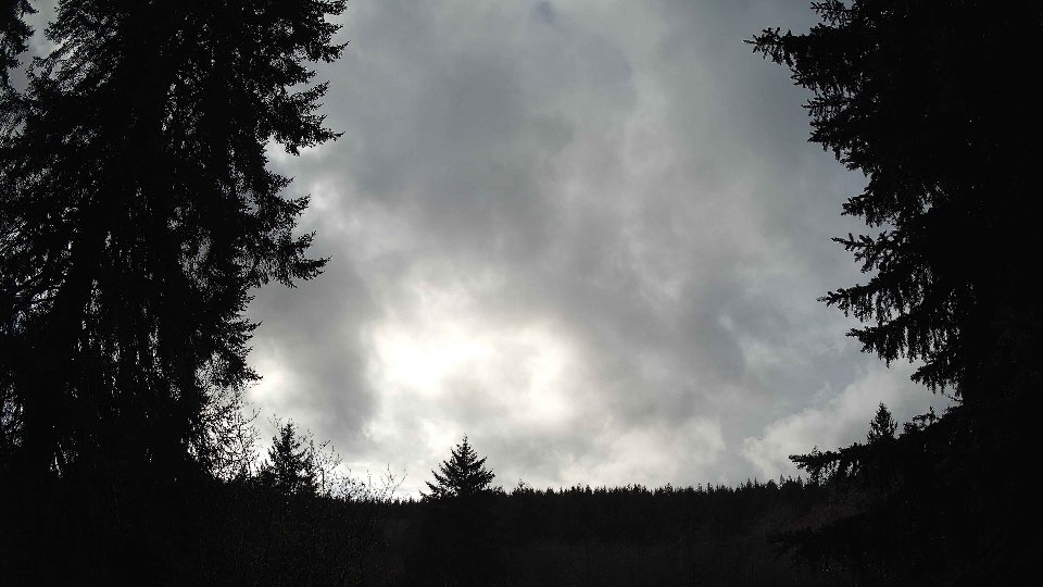 Pacific Northwest skyline timelapse frame from Jan 8th, 2026 at 1:30 PM