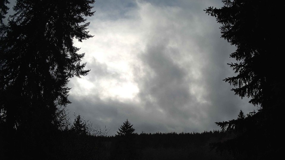 Pacific Northwest skyline timelapse frame from Jan 8th, 2026 at 2:45 PM