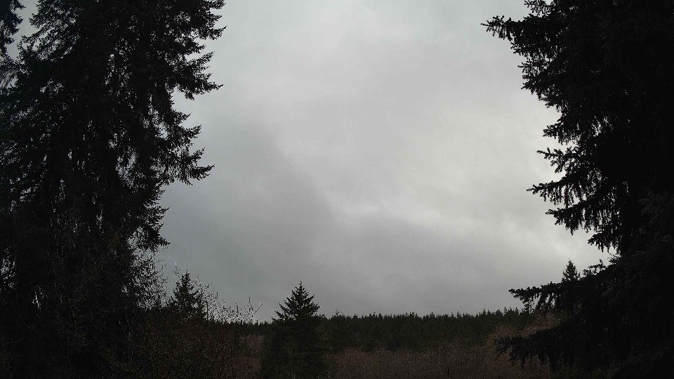 Pacific Northwest skyline timelapse frame from Jan 8th, 2026 at 3:00 PM