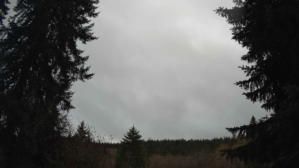 Pacific Northwest skyline timelapse frame from Jan 8th, 2026 at 3:15 PM