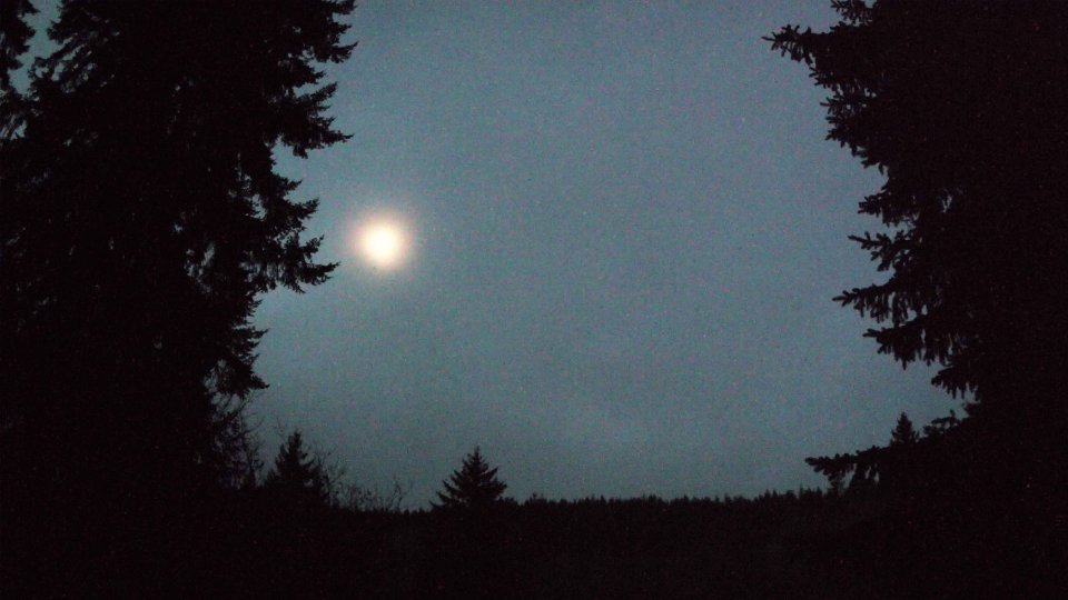 Pacific Northwest skyline timelapse frame from Jan 9th, 2026 at 7:15 AM