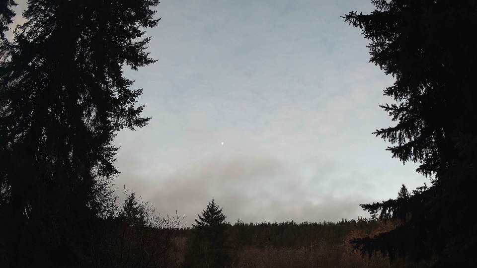 Pacific Northwest skyline timelapse frame from Jan 9th, 2026 at 8:00 AM