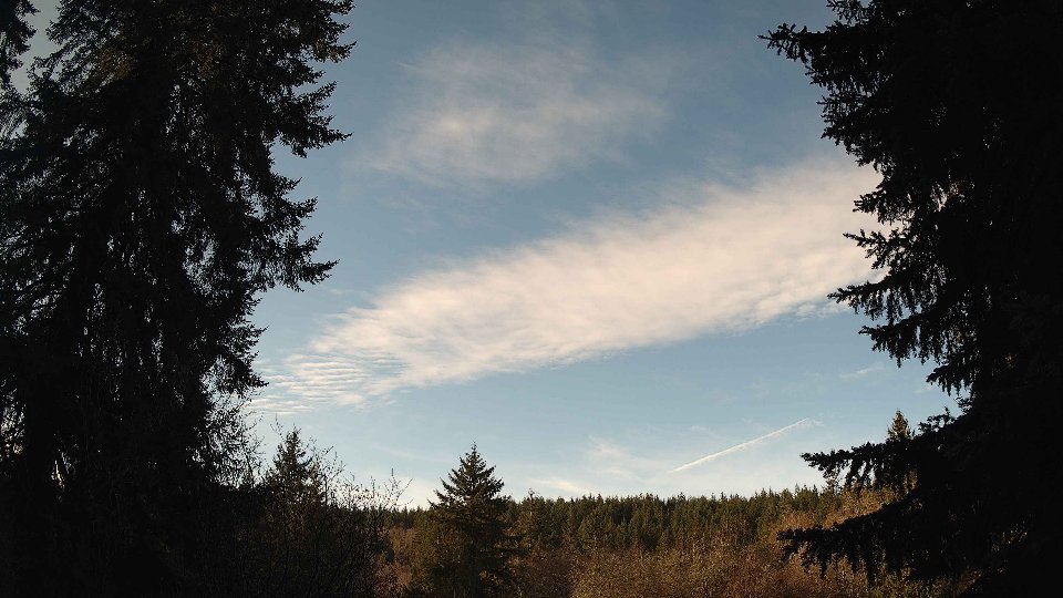 Pacific Northwest skyline timelapse frame from Jan 9th, 2026 at 10:00 AM
