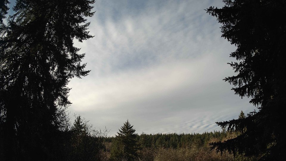 Pacific Northwest skyline timelapse frame from Jan 9th, 2026 at 10:30 AM