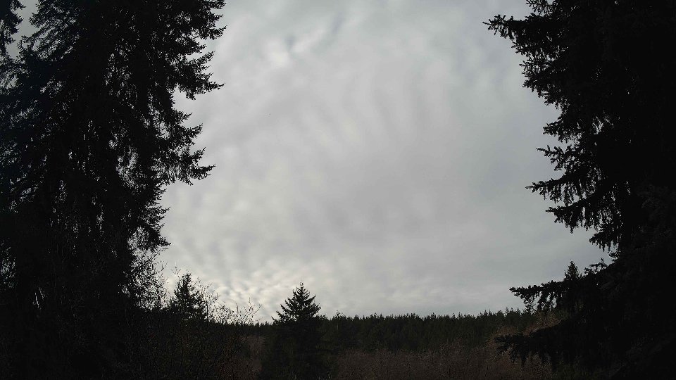 Pacific Northwest skyline timelapse frame from Jan 9th, 2026 at 10:45 AM