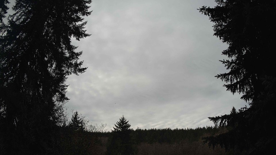 Pacific Northwest skyline timelapse frame from Jan 9th, 2026 at 11:00 AM
