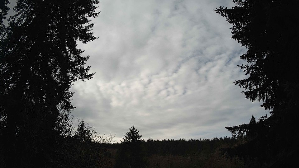 Pacific Northwest skyline timelapse frame from Jan 9th, 2026 at 11:15 AM