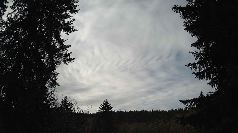 Pacific Northwest skyline timelapse frame from Jan 9th, 2026 at 11:30 AM
